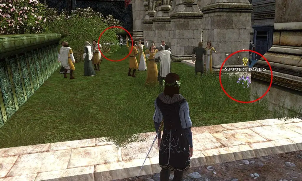 LOTRO Midsummer Festival Guide, Celebrate Aragorn & Arwen's Wedding