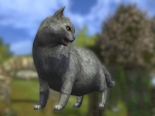 Cozy Grey Cat Pet (Side View)