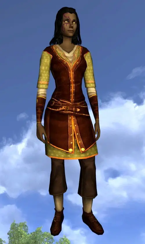 LOTRO Long-Sleeved Summer Tunic and Trousers - Farmers Faire Cosmetic