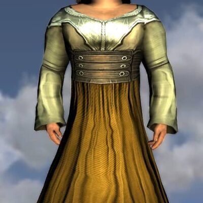 LOTRO Shimmering Breeze Dress - Male Hobbit