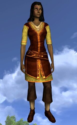 LOTRO Short-Sleeved Summer Tunic and Trousers - Farmers Faire Upper Body Cosmetic - Female Beorning