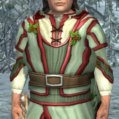 LOTRO Garments of Shire Holly - Male Hobbit