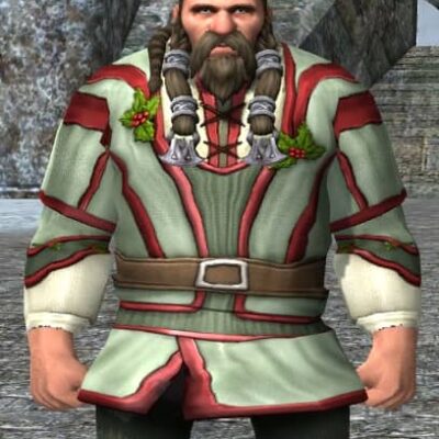 LOTRO Garments of Shire Holly - Stout-Axe Dwarf