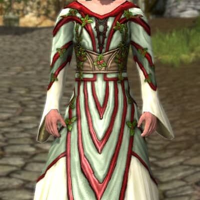 LOTRO Gown of Shire Holly - Male Race of Man