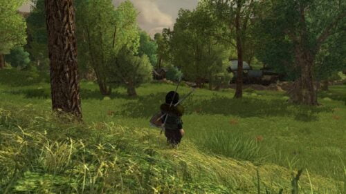 LOTRO Wildwood of Bree-land - Lush Grasses and Trees